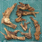 Driftwood for Aquarium Decor, Fish Tank Decor, 6 Pcs Reptile Branches, Drift Wood for Fishtank, Aquarium Hardscape, Crafts, Betta Fish Decor, Reptiles Driftwood Branch (Driftwood 2-8 Inch (Pack of 6))