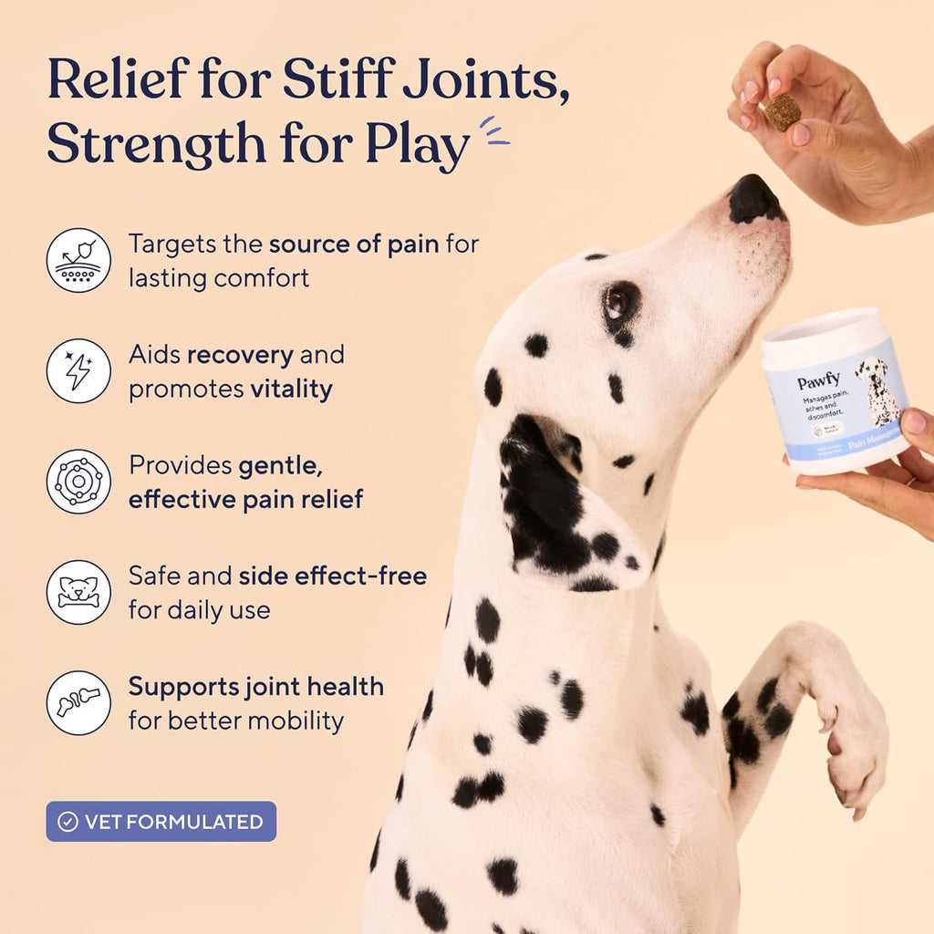 Pawfy Advanced Pain Management. Everyday comfort that fits naturally into your space.