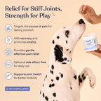Pawfy Advanced Pain Management. Everyday comfort that fits naturally into your space.