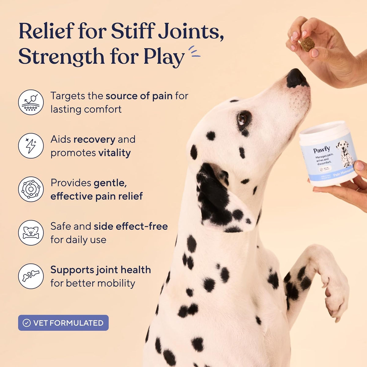 Pawfy Advanced Pain Management. Everyday comfort that fits naturally into your space.