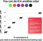 Dog/Puppy Obedience Recall Training Agility Lead -15ft 20ft 30ft 40ft 50ft Training Leash - Great for Play, Camping, or Backyard - Red 50ft