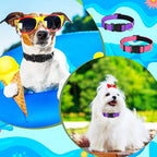 Sanwuta 12 Pcs Reflective Puppy Dog Collars Bulk for Litter Dogs Adjustable Safety Nylon Collars with Locking Buckle Soft Padded Breathable Puppy Collar for Cats Pets(Small)