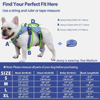 Escape Proof Dog Harness, Dachshund Harness, Reflective Dog Harness with Handle, Durable,Adjustable Vest for Small Medium Large Dogs Walking, Training, and Running Gear (Technicolor Blue,L)