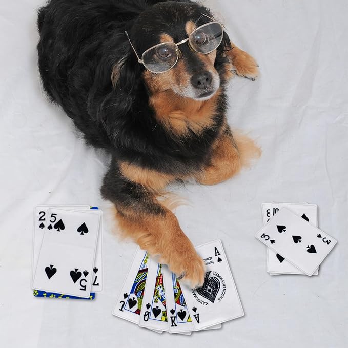 15PCS Funny Poker Dog Toys- Plush Interactive Toys with Crinkle Paper for Small, Medium Puppies- Fun Novelty Play- Cool Stuffed Gifts for Dog Birthday(Black)