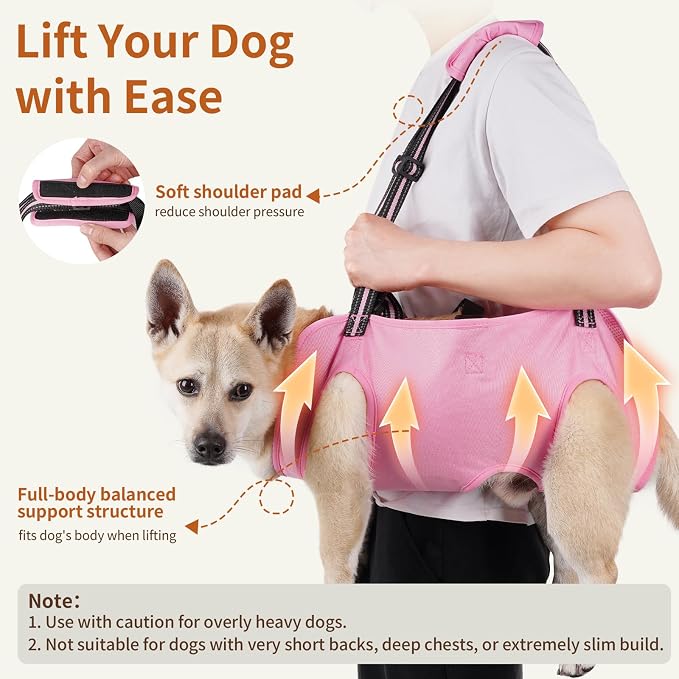 Full Body Dog Lift Harness, Support Senior & Disabled Dogs Walking | Help Up & Down Stairs Grooming, Dog Sling Backpack, Front Hind Leg Joint Injuries, Reflective, Soft Padded Handle | Pink, L