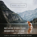Made to ROAM Premium Explorer Control Collar - Adjustable Heavy Duty Nylon Dog Collar with Quick-Release Metal Buckle and Handle (Washington Rain, Control Size 5)