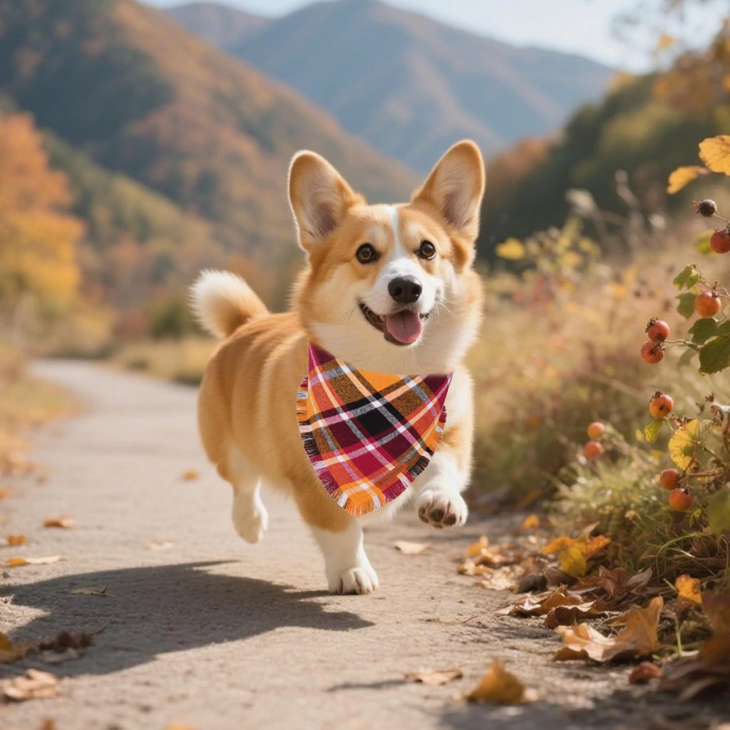 ADOGGYGO Fall Dog Bandana with Tassels Edges, Stylish Orange Plaid Pet Scarf, Multiple Size, Thanksgiving Halloween Fall Bandanas for Small Dogs (Small)