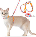 Dooradar Cat Harness and Leash, Escape Proof Adjustable Kitten Vest, Lightweight Soft Pet Straps, Easy Wearing for Small Medium Kitty Safe Walking Travel Control, Rainbow, M