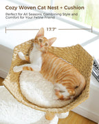 Modern Cat Tree Tower for Large Cats, Wood Cat Tower with Natural Scratching Post, Solid Wood Condo, Real Branch Luxury Cat Furniture with Curved Bed, Top Basket, White