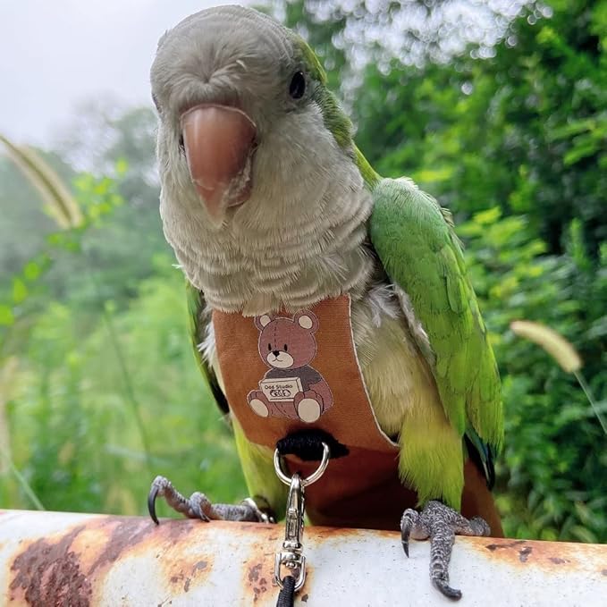 Bird Diaper Harness Flight Suit Clothes, Parrot Flight Suit with Leash for Parrot, Bird Flying Clothes with Rope and Handle for Outdoor Activities Training (Sun Conure,with Leash)