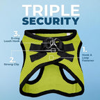 Best Pet Supplies Voyager Step-in Air Harness - All Weather Mesh, Reflective, No Pull Harness for Dogs, Cats - Secure with Hook & Loop Fastener, Buckle, Double D-Rings - Lime Green/Black Trim, XXS