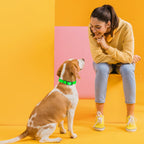 Dogline Biothane Waterproof Dog Collar Strong Coated Nylon Webbing with Black Hardware Odor- Proof for Easy Care Easy to Clean High Performance Fits Small Medium or Large Dogs, Tropical Green