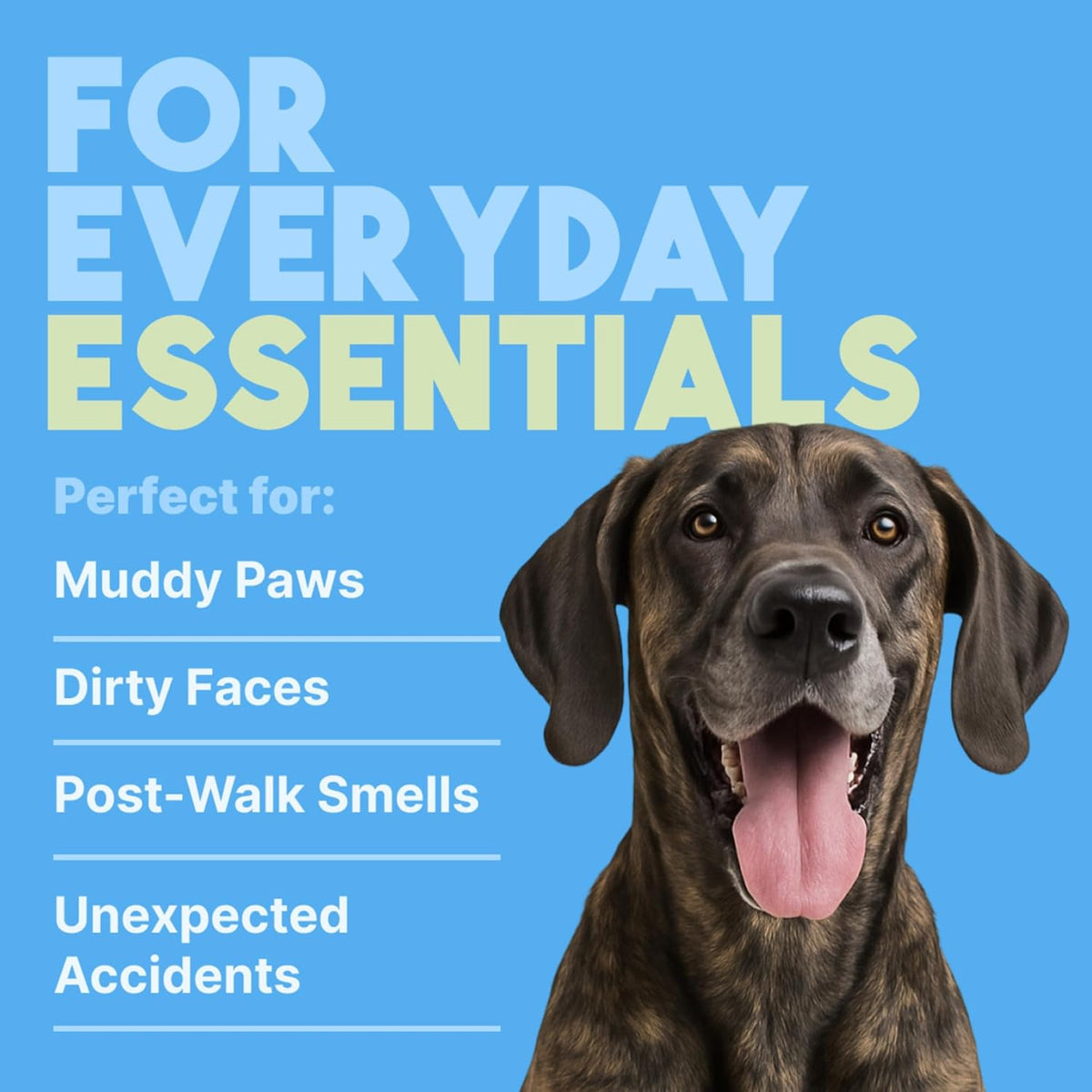 TropiClean Hypoallergenic Cleaning Pet Wipes. Chosen for real quality, not just packaging.