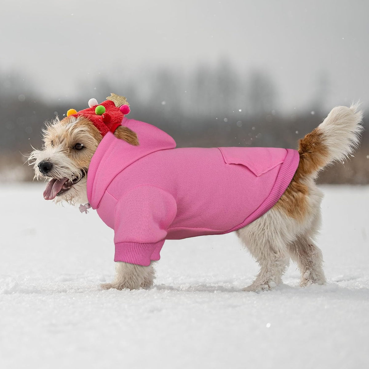 Dog Sweaters for Small Dogs Dog Hoodie Pet Sweater Solid Soft Brushed Fleece Pet Clothes Hoodie Sweatshirt with Pocket(Pink-S)