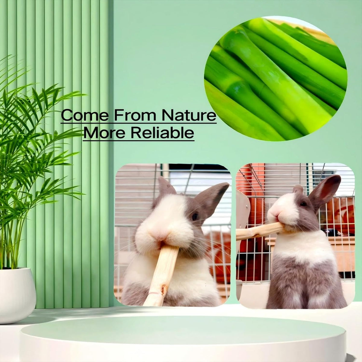 300g Snacks Sweet Bamboo Chew Toy for Rabbits Chew Sticks for Hamster Chinchilla Guinea Pig,Molar Treats Snack for Small Animals