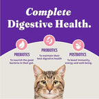 Halo Holistic Kitten Food, Wild Caught Salmon & Whitefish Recipe, Grain Free Dry Cat Food, Complete Digestive Health, 10 lb Bag