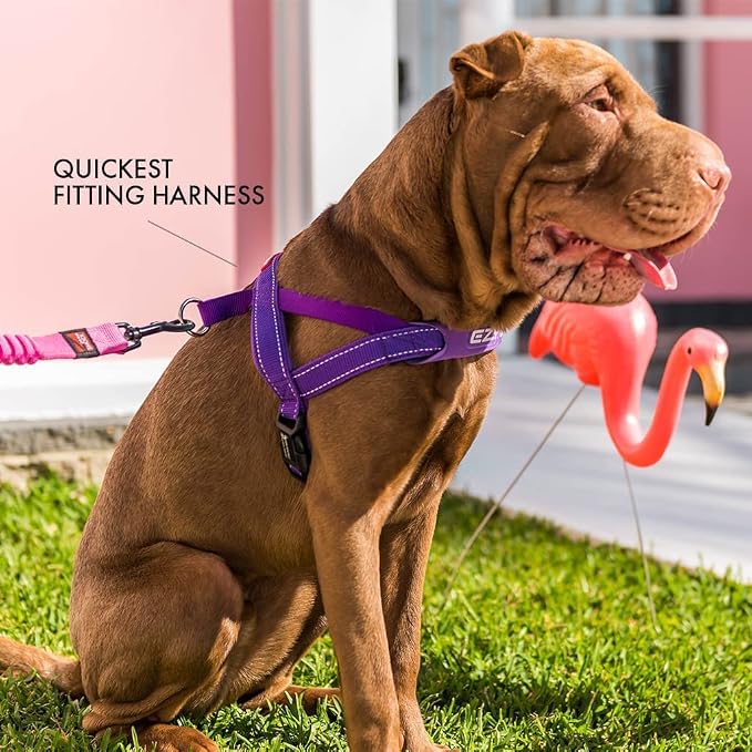 EzyDog Quick Fit Dog Harness, Soft Neoprene Padding - Small, Green Camo | Fast One-Click Buckle, Adjustable Fit, Strong Reinforced Materials, Reflective Stitching, No Pull Dog Harness, Easy Walking