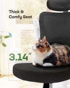Marsail Ergonomic Office Chair: Office Desk Chair with High Back Mesh and Adjustable Lumbar Support Rolling Work Swivel Task Chairs with Wheel 3D Armrests and Headrest