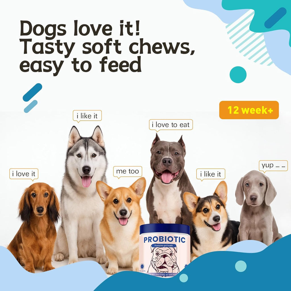 Probiotics for Dog,Support Gut Health,Probiotics for Digestive Health,Digestive Health & Seasonal Allergies-Dog Supplements,60 Soft Chews,Packaging May Vary