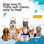 Probiotics for Dog,Support Gut Health,Probiotics for Digestive Health,Digestive Health & Seasonal Allergies-Dog Supplements,60 Soft Chews,Packaging May Vary
