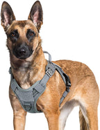 rabbitgoo Dog Harness for Large Dogs No Pull, Tactical Service Pet Vest with Molle and Control Handle, Adjustable and Reflective Military Harness for Easy Walking and Training, Grey, XL