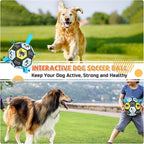 Dog Toy Soccer Ball with Straps, Herding Ball for Dogs, Outdoor Interactive Dog Toy, Dog Fetch Toy, Ideal for Medium & Large Dogs, Great Puppy Birthday (6 Inch)