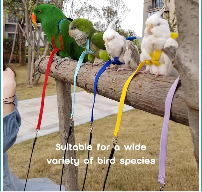 Adjustable Bird Harness with Elastic Leash, Pet Parrot Harness and Leash, Adjustable Training Design Anti-Bite, Bird Nylon Rope with Cute Wing for Conure (Grey,XS)
