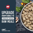 Instinct Freeze Dried Raw Meals, Natural Dry Dog Food, Grain Free - Real Beef, 3 oz. Bag