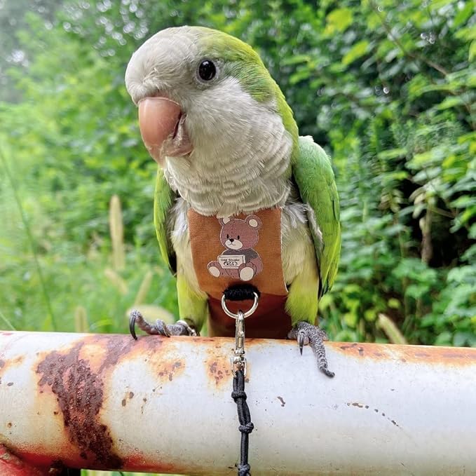 Bird Diaper Harness Flight Suit Clothes, Parrot Flight Suit with Leash for Parrot, Bird Flying Clothes with Rope and Handle for Outdoor Activities Training (Sun Conure,with Leash)