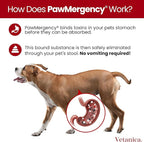 PawMergency – Activated Charcoal First Aid Kit Emergency Rescue 2 Pack for Dogs, Cats, Puppy & Pet Poison Kit, Camping Survival Remedy Essential, Oral Anti Diarrhea Digestive Absorb Toxins