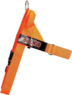 Adjustable Dog Harness– No Pull, No Choke – for English Bulldogs, French Bulldogs, Pugs & Broad-Chested Breeds – Easy, Safe Walks (NEON Orange, Small)