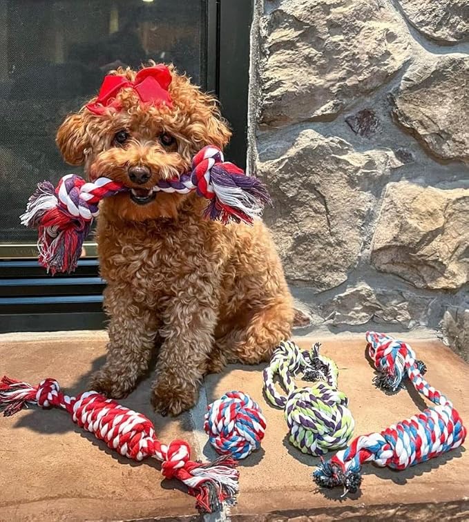 Pacific Pups Products Dog Rope Toys for Medium Dogs & Small Dogs 5 Pack - Puppy Teething Toys and Small Dog Toys - 5 Puppy Chew Toys for Teething