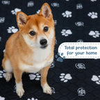 EZwhelp Reusable Dog Pee Pads, Washable Waterproof Mats for Dog Potty Training or Whelping Pads, 39x39 Inch, 2 Pack