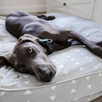 Molly Mutt Huge Dog Bed Cover -Be Still - Measures 36”X45”X5’-100% Cotton - Durable - Breathable - Sustainable - Machine Washable Dog Bed Cover