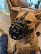 Mayerzon Dog Muzzle, Breathable Basket Muzzles for Small, Medium, Large and X-Large Aggressive Dogs Beagle German Shepherd Doberman, Cage Mouth Guard Stop Biting Chewing for Grooming Training