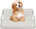Dog Pee Pad Holder Tray, Puppy Potty Training, 22.5"x16.5", PP Plastic, Snap Lock, 4 Colors (Gray)