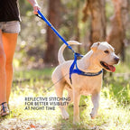 EzyDog Quick Fit Dog Harness, Soft Neoprene Padding - Medium, Gray | Fast One-Click Buckle, Adjustable Fit, Strong Reinforced Materials, Reflective Stitching, No Pull Dog Harness, Easy Walking