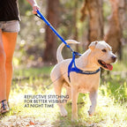 EzyDog Quick Fit Dog Harness, Soft Neoprene Padding - X-Large, Orange | Fast One-Click Buckle, Adjustable Fit, Strong Reinforced Materials, Reflective Stitching, No Pull Dog Harness, Easy Walking