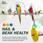 Sweet Feet and Beak Roll Bird Swing - Perch Bird Toys Trims Nails and Beaks, Safe and Non-Toxic Bird Cage Accessories for Small and Large Birds, Swinging Toys Birds Will Love, XL 11 Inches - Blue