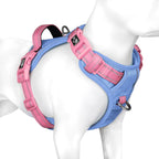 PHOEPET No Pull Dog Harness, Unique Colors Reflective Adjustable Dog Vest, with Soft Training Handle Metal Clips for Small Medium Large Dogs (Baby Blue Base & Pink Straps,S)