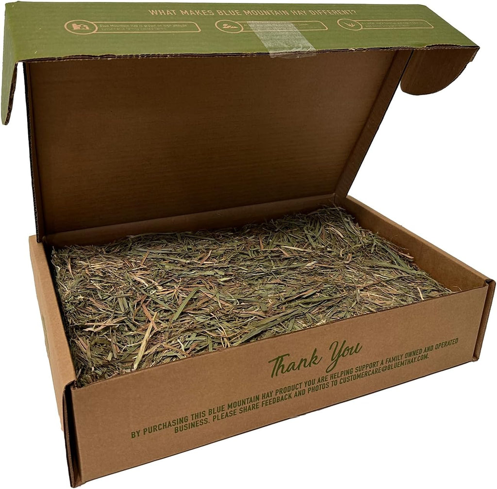Blue Mountain Hay | Fresh Timothy Hay (10 Pounds) | Great for All Ages | High-Altitude Hay Pet Food for Rabbits, Guinea Pigs, Chinchillas, Hamsters, and Other Small Pets