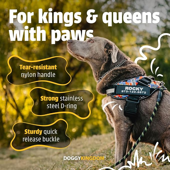 Personalized Dog Harness with Custom Name Patches, Adjustable Reflective No Choke Dog Vest with Handle for Small Dogs and Growing Puppy, Motorsport, XS