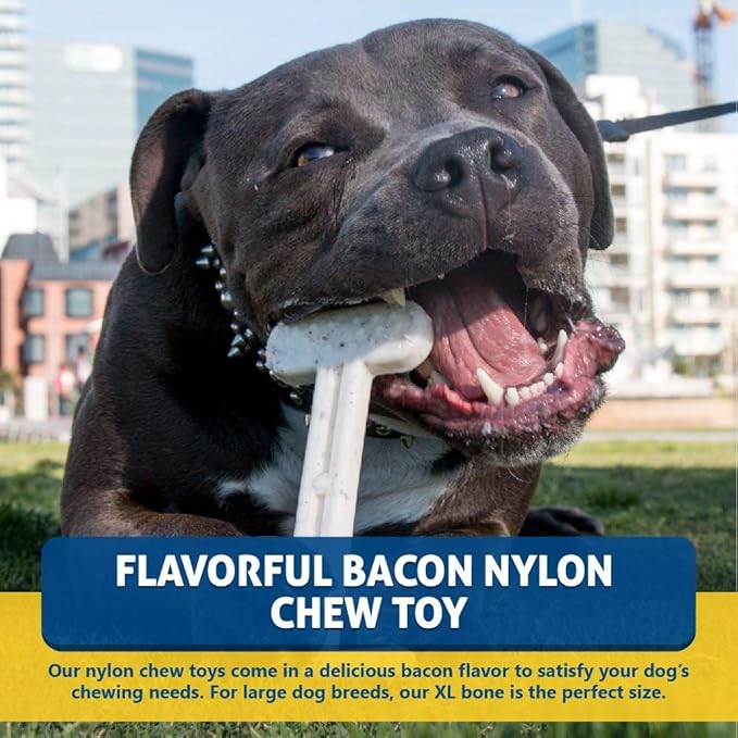 Bullibone Nylon Dog Chew Toy Nylon Bone - Improves Dental Hygiene, Easy to Grip Bottom, and Permeated with Flavor (Bacon, XL - Single)