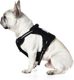 Amazon Basics No Pull Dog Harness, Adjustable Front Clip, Tactical Vest, Medium, Black