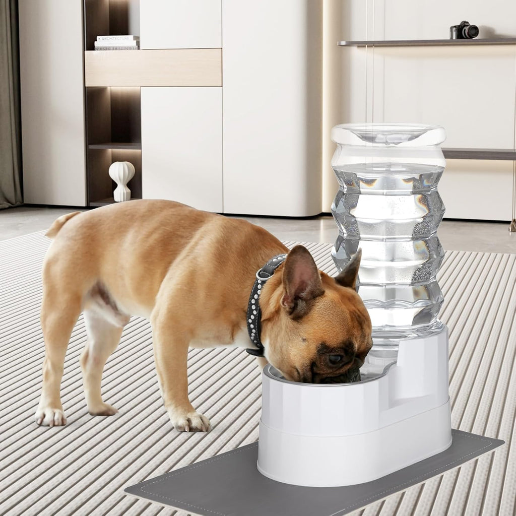 RIZZARI Large Water Dispenser for Dogs: 9L Automatic Stainless Steel Gravity Raised Pet Feeder for Pet Dogs Indoor/Outdoor