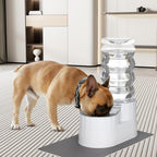 RIZZARI Large Water Dispenser for Dogs: 9L Automatic Stainless Steel Gravity Raised Pet Feeder for Pet Dogs Indoor/Outdoor
