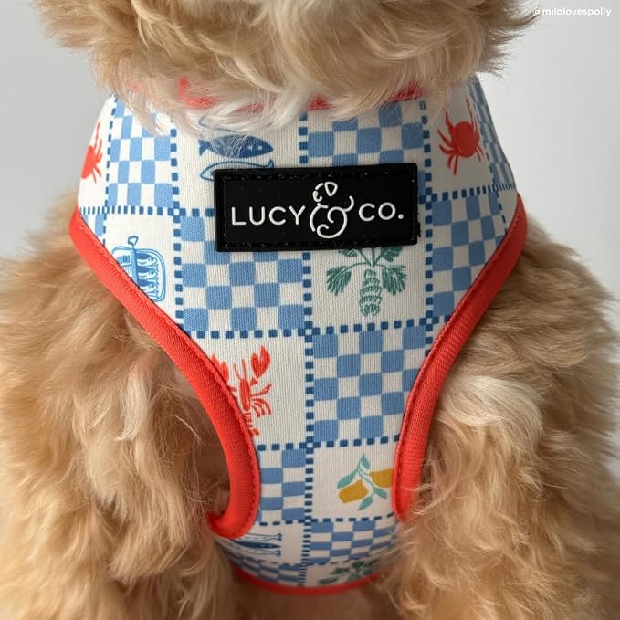 Lucy & Co. Sunny in Sicily Reversible Dog Harness, Adjustable Comfort Fit with Dual Leash Attachments, Small