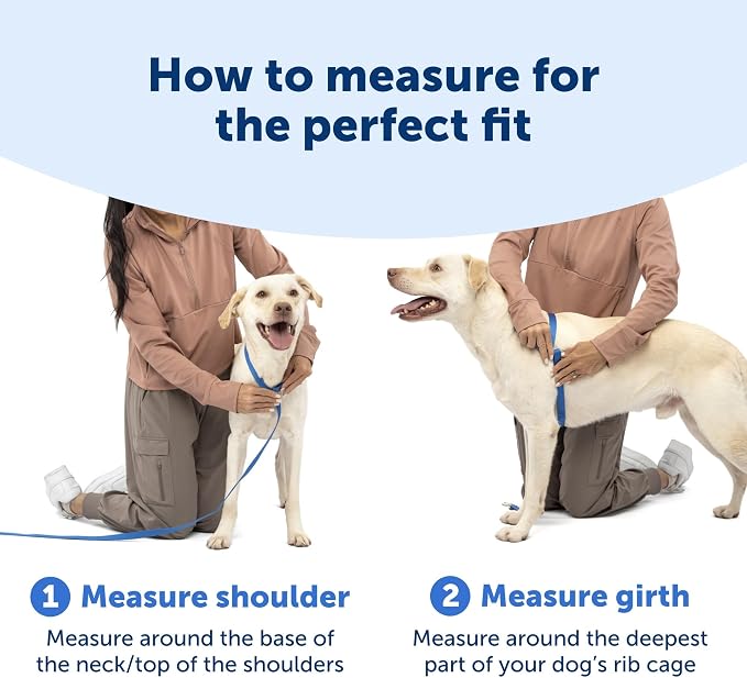 PetSafe Easy Walk Comfort No Pull Dog Harness, Green Gringham, Extra Small | Stops Pulling on First Use with Front Martingale Loop, Padded Comfort, 5-Point Adjustable Fit
