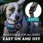 Embark Adventure Dog Harness, Reflective Trim No Pull Dog Harnesses for Small Sized Dogs - Military Grade Nylon, Front Clip with Gel Lined Handle. Soft & Padded Puppy