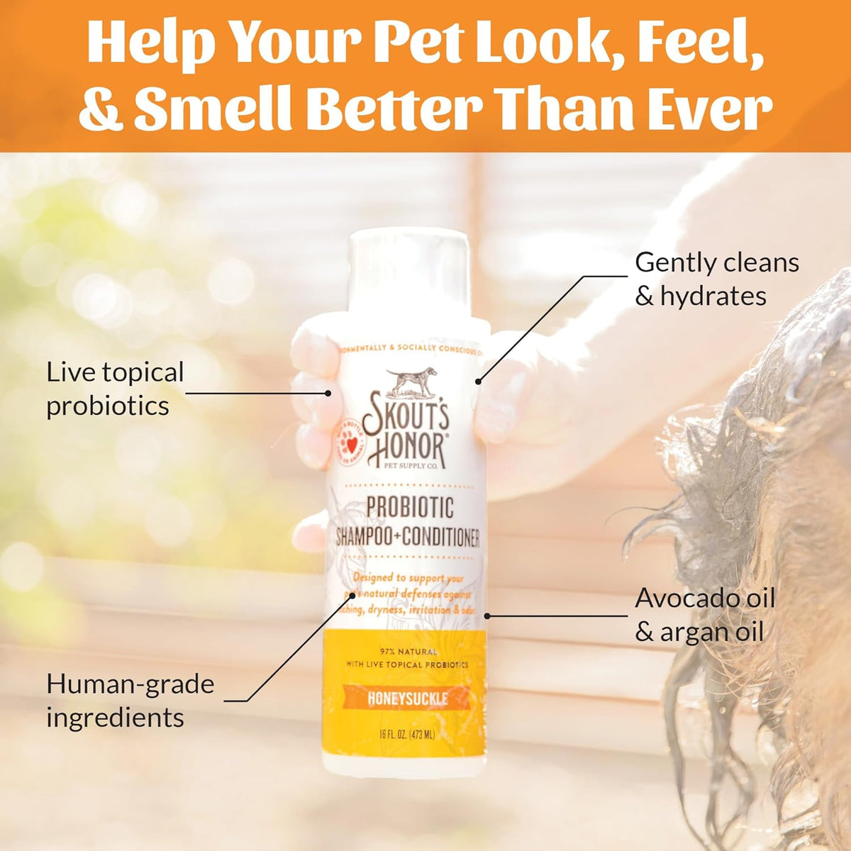 Skout's Honor Probiotic Dog Shampoo & Conditioner with Avocado Oil & Omega-3s, 97% Natural, Paraben & Sulfate-Free, Cruelty-Free, 16oz, Honeysuckle 2-Pack